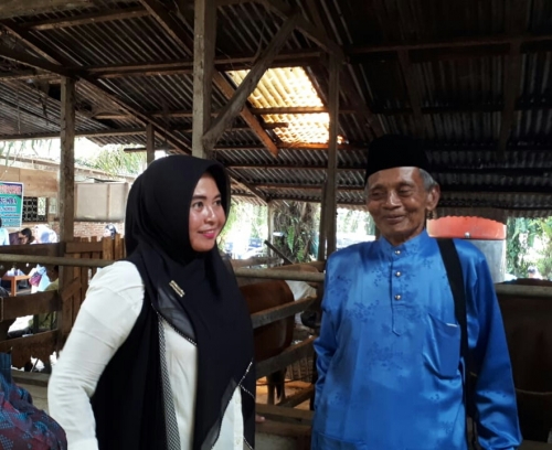 Dinas Peternakan Siak Gesa Pemeriksaan  Kesehatan Hewan Kurban
